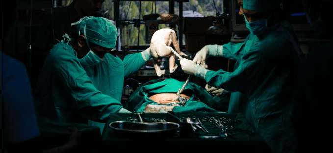 umbilical cord
