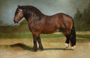 Draft horse