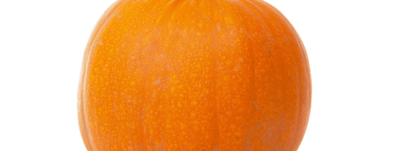 Squash