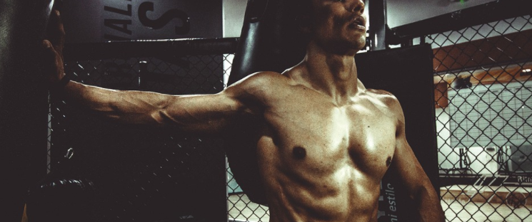 Muscle