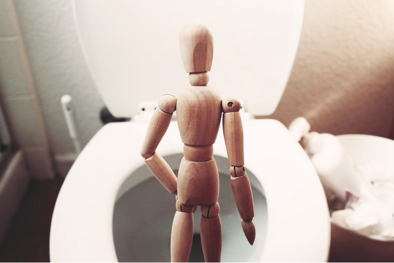 bladder
